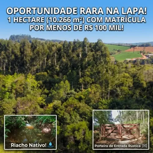 Chácara 1 Hectare (10.266 m²) com Matrícula e Riacho Nativo - Lapa/PR