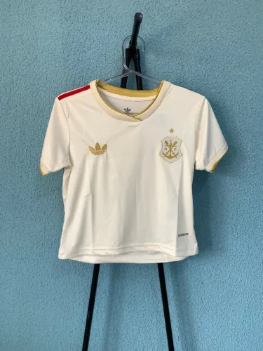 Cropped Flamengo Third 25/26