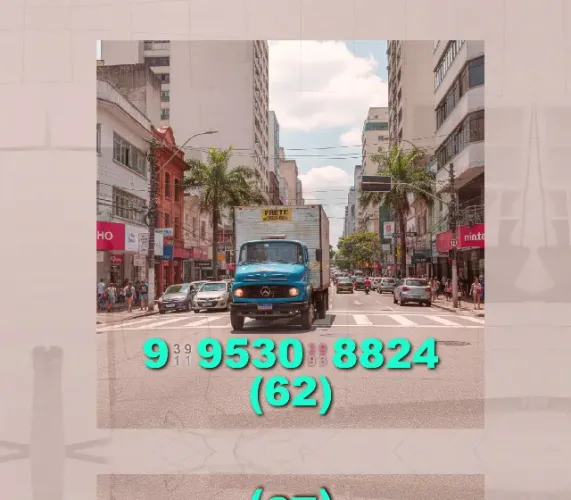 Frete rápido e seguro! Contato: 62?9?9530?8824 - Alessandro ajuda sua mudança!