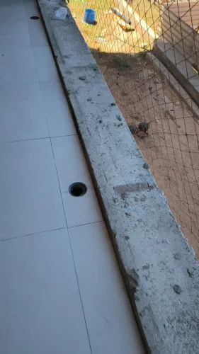 Pedreiro de porcelanato 