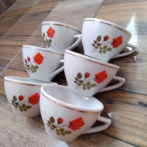 6 xicaras de chá porcelana pozzani