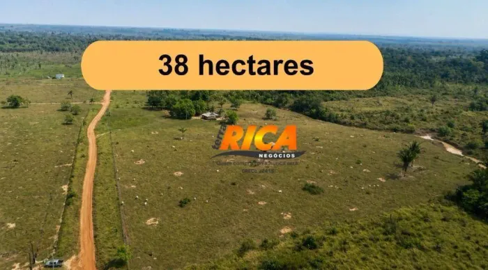 Sítio à venda com 38 hectares na Área rural de Canutama/AM
