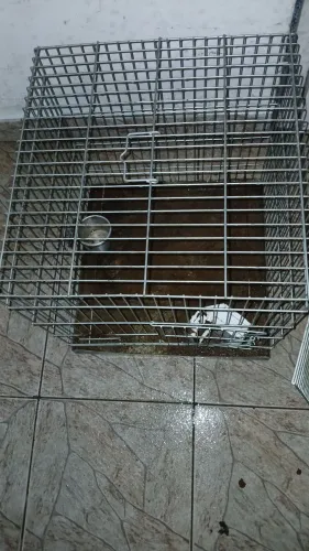 Gaiola quadrada de ferro medidas na descrição 