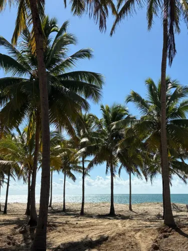 ÁREA À BEIRA MAR EM CORURIPE NO LITORAL SUL DE ALAGOAS