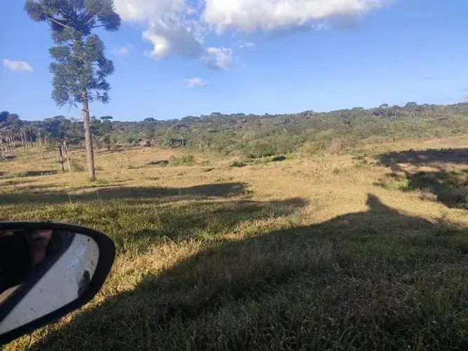 Fazenda a venda