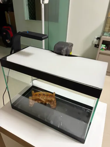 Aquários 25L e 15L
