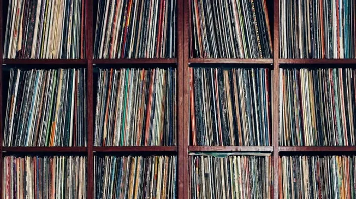 Disco de Vinil - Coleção de discos de Vinil - Escolha o seu na lista!