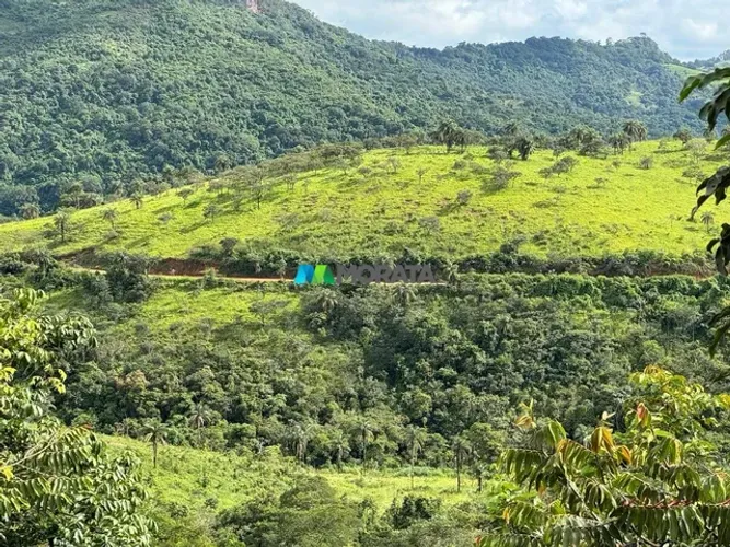 FAZENDA À VENDA - 18 HECTARES - REGIÃO DE BAMBUÍ (MG)