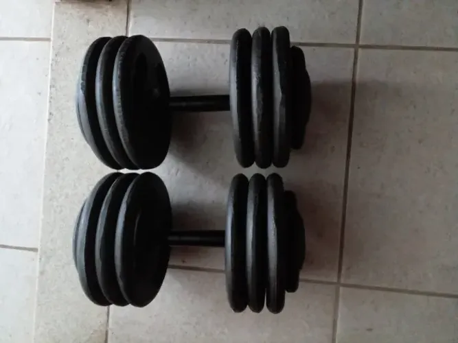Vendo um par de Dumbbell