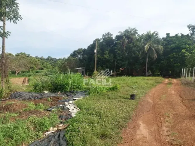 Área Rural 3 Alqueires | Documentada + Tanques de Peixe | Próx. Palmas | Alto Potencial