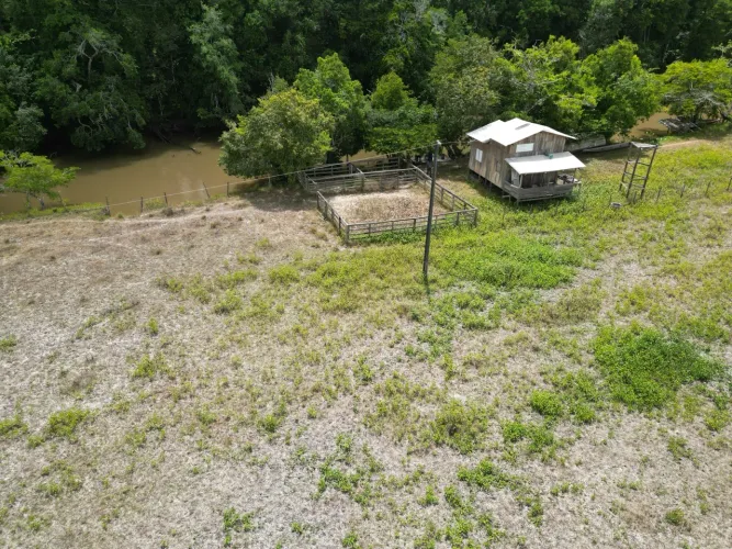 Fazenda para criação de Búfalos a 40km de Macapá