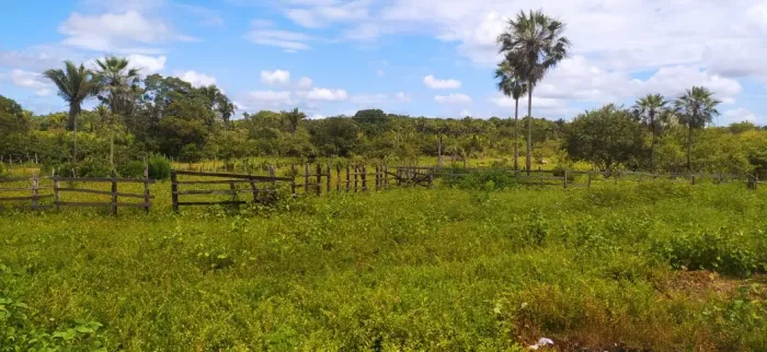 Fazenda em Nina Rodrigues do Maranhão