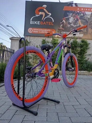 Bicicleta Free Ride Viking Tuff 25