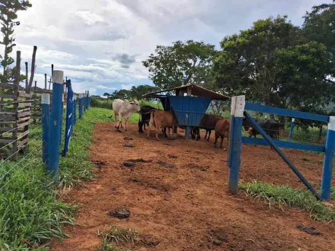 Chácara de 05 alqueires 