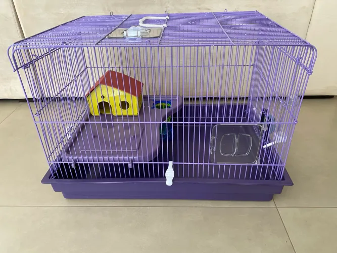 Gaiola para Hamster, porquinho da índia