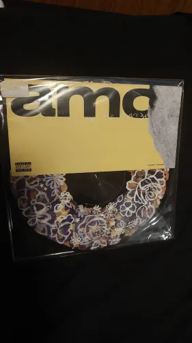 Vinil Bring Me The Horizon - amo CUSTOM PINTADO À MÃO por Oliver Sykes e Alissic RARO