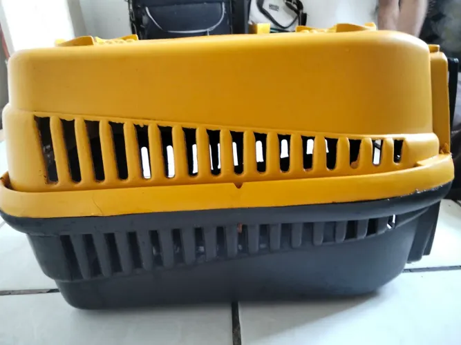 Caixa de trasporta gato