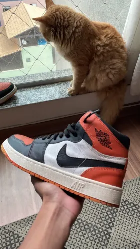 Air Jordan 1 High