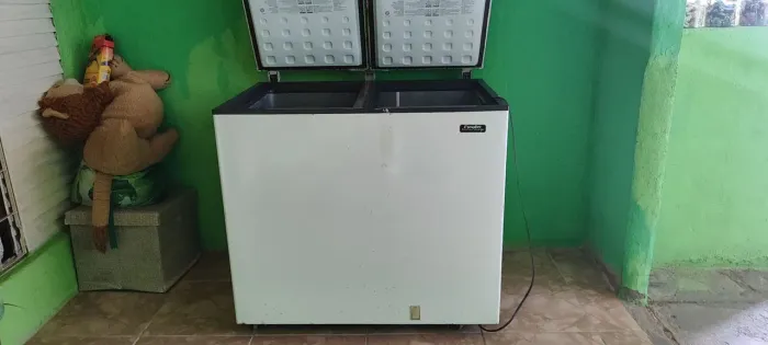 Freezer horizontal