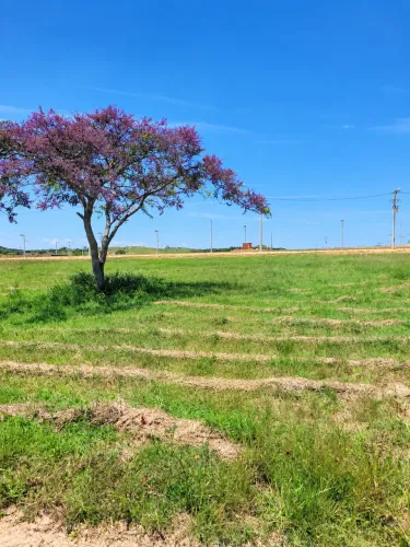 Terreno Residencial Jequitibá Araruama