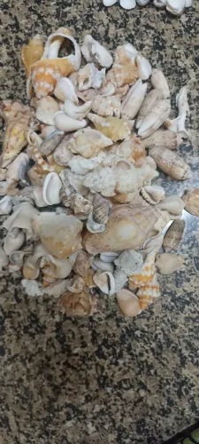 Material para Artesanato 