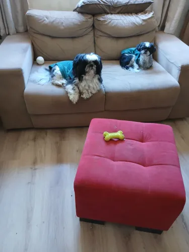 Sofa dois lugares