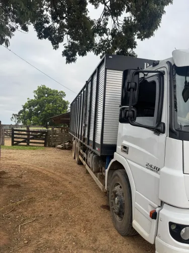 Caminhão Boiadeiro com Julieta ou na carroceria Baixa ou chassis 