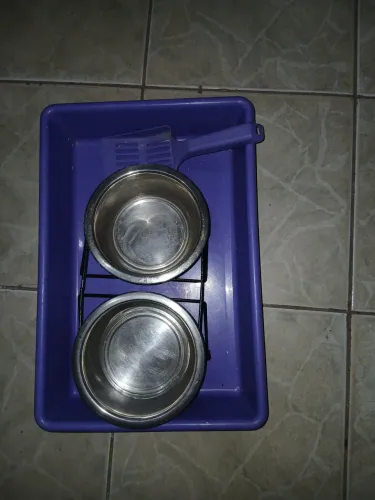 Utilidades para gatos