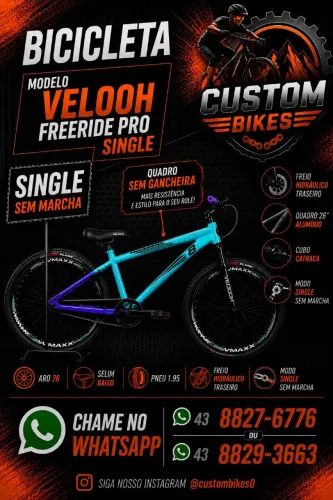 Bicicleta