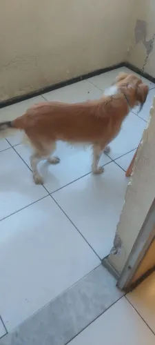 Doação Bob