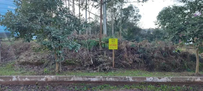 Terreno bairro Joaneta, Picada Café.RS REF: 231