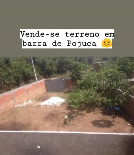 Terreno linha verde