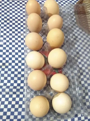 Ovo Caipira
