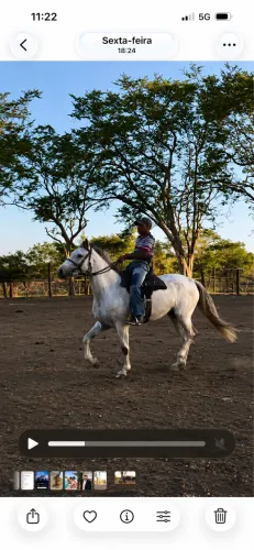 Égua Turdilha de picado