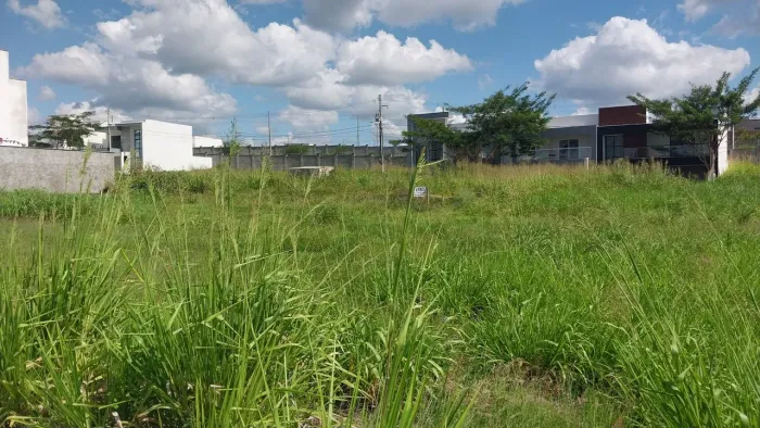 JARDIM DAS TULIPAS - LOTE