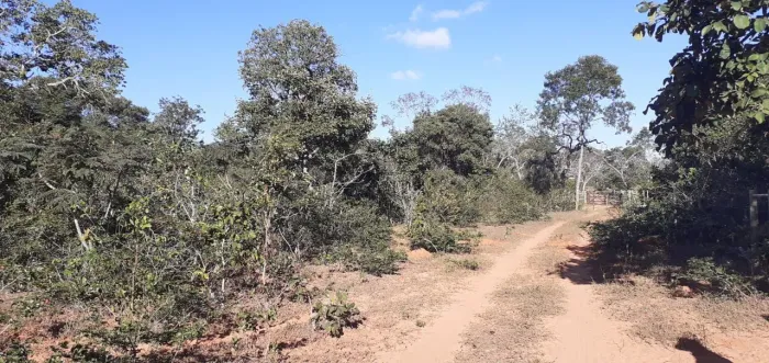 Chácara - zona rural de Mirabela