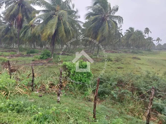 Lote à Venda na Praia da Caueira | 16x30 mt em Itaporanga d'Ajuda