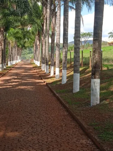 Contrata-se caseiro