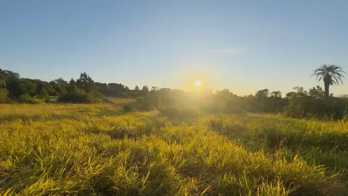 Terrenos escriturados com pequena entrada e parcelamento de R$ 650 por mês, em Águas Clara