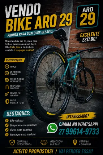 Bike aro 29