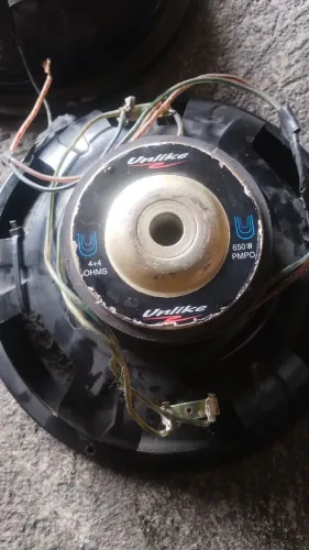 Auto falante 12"