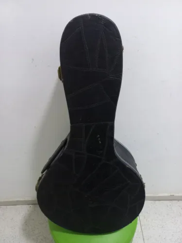 Case de luxo para banjo