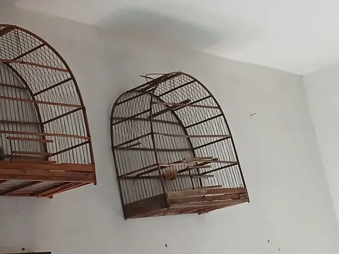 Gaiolas