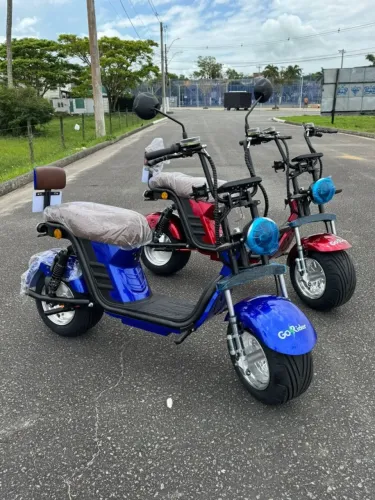 Scooter Elétrica GoRider X13 0KM