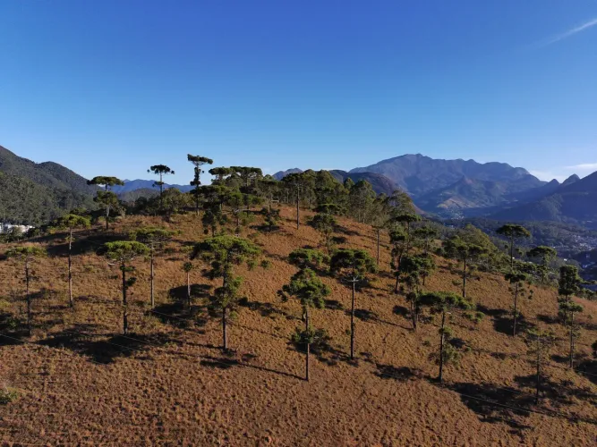 Oportunidade de investimento , terreno medindo 388 mil metros quadrados