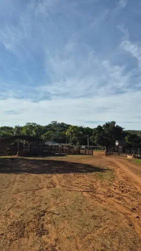 Vendo!!!  fazenda de 210 alqueires Torixoréu  MT