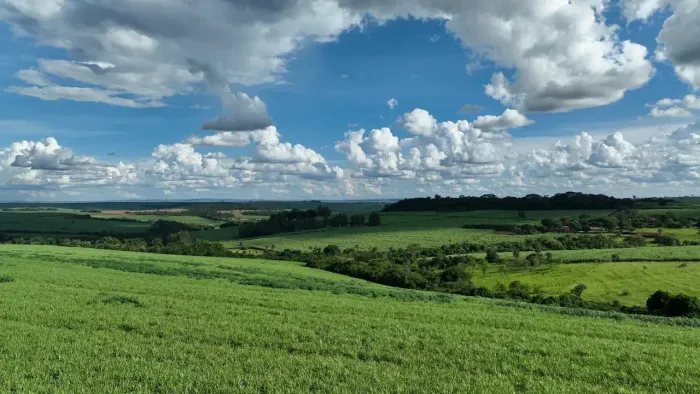 Oportunidade: Fazenda de 95 alqueires altamente produtiva em Franca - SP