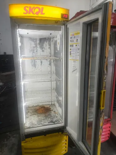 Freezer Skol 