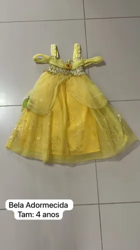 Vestido A Bela e a Fera