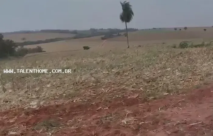 Área Rural para Venda em Jaguapitã, RURAL